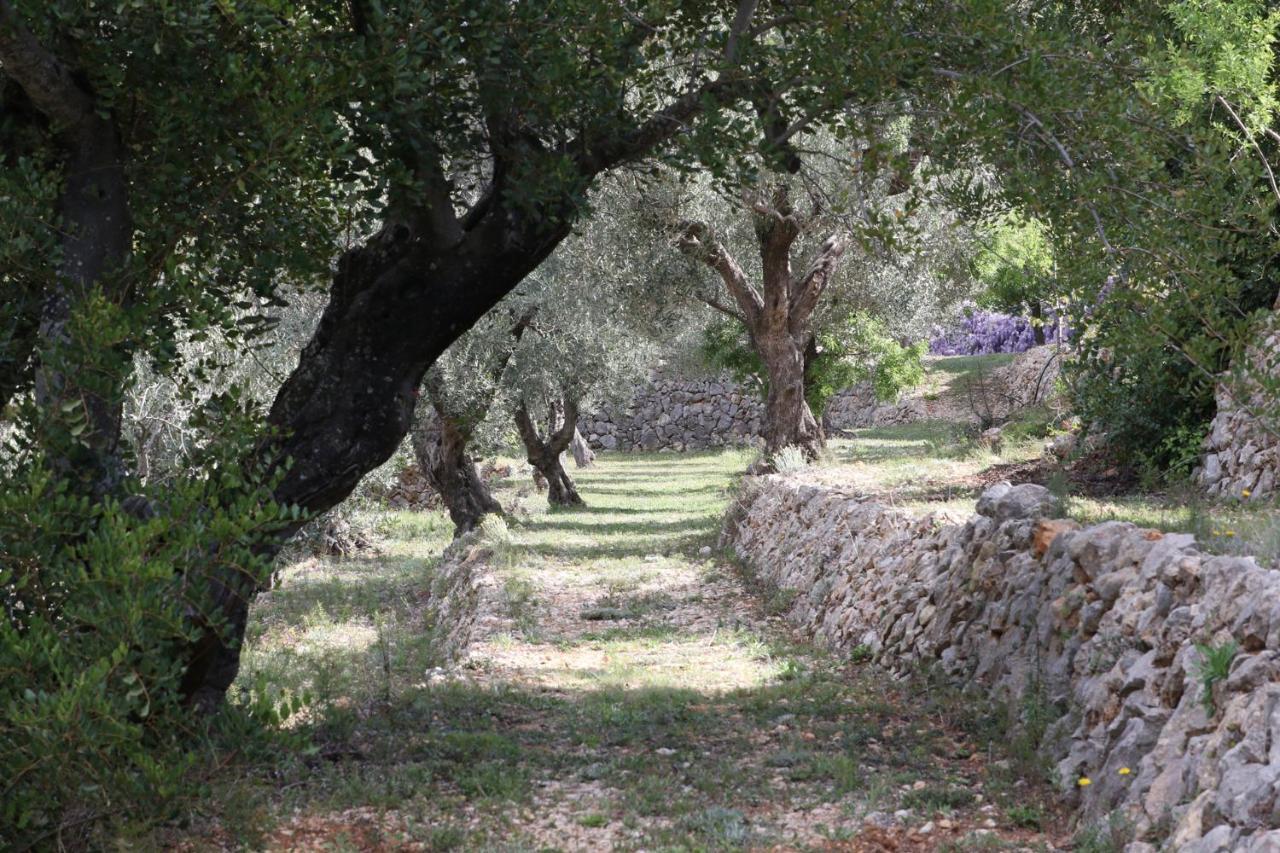 Villa Foia Vella - Adults Only Benigembla 外观 照片